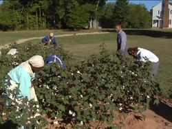 America's Journey Through Slavery: The Life of An Enslaved Person Instructional Video
