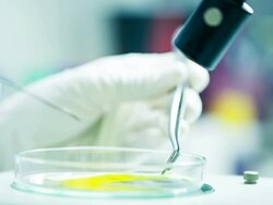 Scientist and bio lab experiment Stock Footage