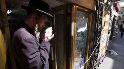 CLEAN : Ultra Orthodox Jews inspect Four Species branches for Sukkot News Clip