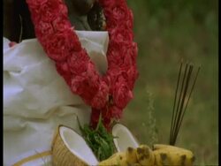 CU of Hindu shrine and offerings, Western Ghats, India Stock Footage