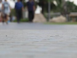 Jogging. Stock Footage