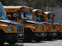 TD Four parked school buses / Weymouth, Massachusetts, United States Stock Footage