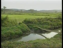 Refugees repatriation causes political dispute between Hanoi and US News Clip