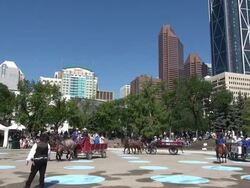 MS Horse Carriages at Calgary stampede / Calgary, Alberta, Canada Stock Footage