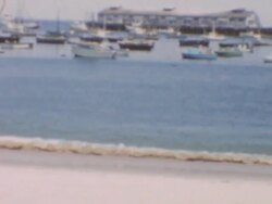 Monterey Wharf and Harbor Stock Footage