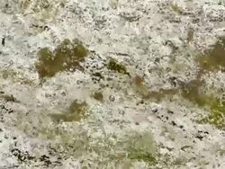 ORGANIC MATTER : close-up (LOOP) Stock Footage