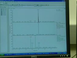 Gas chromatography-mass spectrometry (GCMS), University of Washington, Seattle, USA Stock Footage