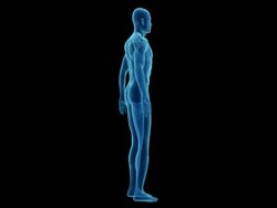 Human body of a man for study Stock Footage