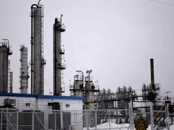 A plant with smoke and fence around Stock Footage