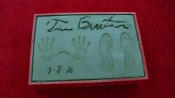 EVENT CAPSULE CLEAN - Tim Burton To Place Handprints-Footprints In Cement At TCL Chinese Theatre IMAXï¿½ Forecourt Stock Footage