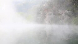 Wet fog moving over Seryangji lake(Reservoir in the Hwasun) Stock Footage