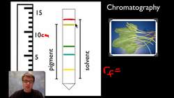 AP Biology Lab 4: Plant Pigments and Photosynthesis Instructional Video