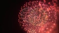 Multicolored fireworks explode in a dark sky. Stock Footage
