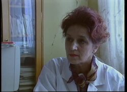 Bosnia - Health, War And Peace News Clip