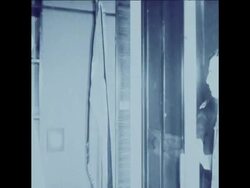 UPITN 5 6 77 FILE FOOTAGE NEW CROWN PRINCE AL-THANI OF QATAR News Clip