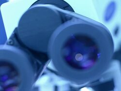 Scientist and bio lab experiment Stock Footage