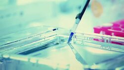 Scientist and bio lab experiment Stock Footage