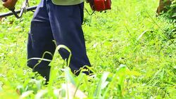 Mowing gress Stock Footage