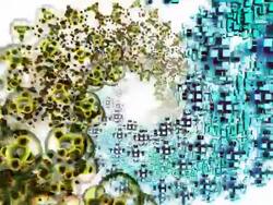 DNA organic technical combination Stock Footage