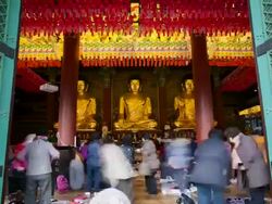 Worshippers inside Jogyesa Temple, Jongno-gu district, Seoul, South Korea, Asia Stock Footage