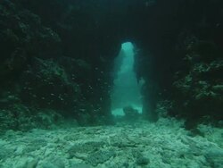 Medium push-in - Small fish swim through a coral trench / Great Barrier Reef, Australia Stock Footage