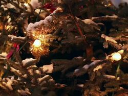 Christmas tree with snow - close up Stock Footage