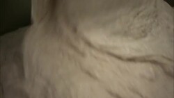 Dough pours into a vat. Stock Footage