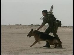 British dog team put through its paces News Clip