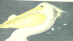 Preview of legendary actress Lauren Bacall's collection up for auction News Clip