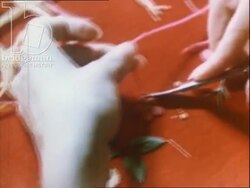 School performances, parades and choir singing. Estonia, 1971 Stock Footage