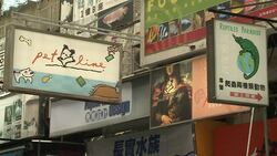 CLEAN : Year of Snake sees serpent sales News Clip