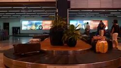 Timelapse luggage bag at airport Stock Footage