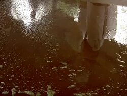 MS Liquid sulfur cooling on the floor / Ijen, Java, Indonesia Stock Footage