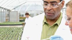 Senior scientists discuss test results while studying plant life in greenhouse Stock Footage