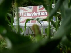 Views Of British Farming Stock Footage