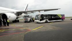 CLEAN : France fly to Brazil after 8-0 win over Jamaica News Clip