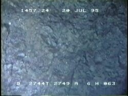 Octopus close to black smoker. Stock Footage