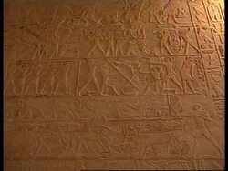 EGYPT: WINE: STATE-RUN STELLA BREWERY PRIVATISED News Clip