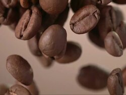 Coffee Beans Falling Over Background (Super Slow Motion) Stock Footage