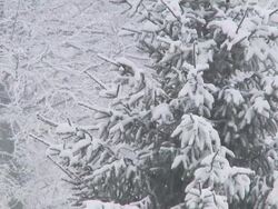 HD: Winter time Stock Footage