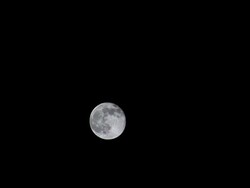 Full Moon Timelapse Stock Footage