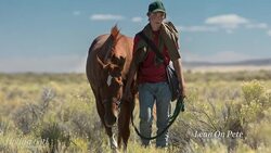 'Lean on Pete' Director on Letting Actors "Do What They Do Well" | TIFF 2017 News Clip