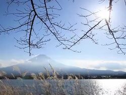 HD: Fujisan Landscape at kawaguchiko lake Stock Footage