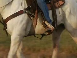 Hispanic Cowboy Rides White Horse on Texas Ranch Stock Footage