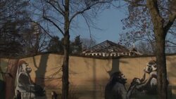 CLEAN : Dozens of monkeys die in German zoo fire (2) News Clip