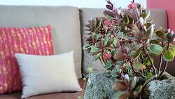 Interior design of modern Living room decoration Stock Footage