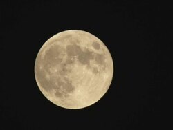 MS Shot of orange harvest full moon looms rises in night sky / Beaverton, Oregon, United States Stock Footage