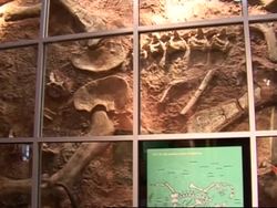 10 year old girl's enclyclopaedic knowledge of dinosaurs News Clip