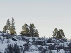 WS TD View of sun sets behind ridge line of an epic winter desert scene and Snow covers pines, rocks and hills over to distant hills / Bend, Oregon, United States  Stock Footage
