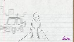 What Do You Hear in a Seashell? Instructional Video